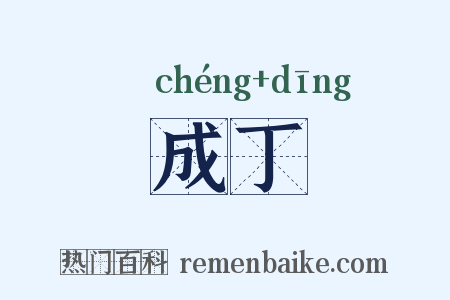 成丁是什么意思的图片